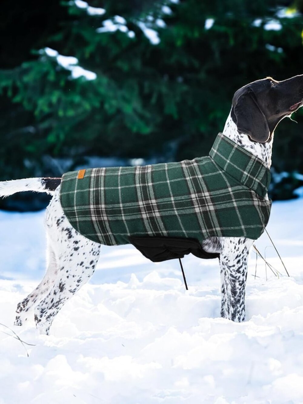 Waterproof Dog Coat, Reversible Dog Jacket for Large Dogs, Green L | Adjustable - Picture 6 of 7